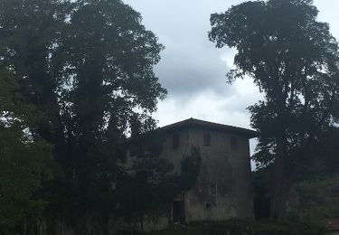 Tocht Te voet Cordignano - Sentiero della Madonna dei Scalin - Photo