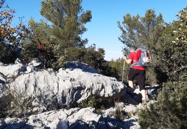 Randonnée Marche La Valette-du-Var - le coudon - Photo