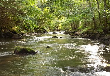 Trail Walking Chambon-sur-Lac - Chambon_Couze_Surains - Photo