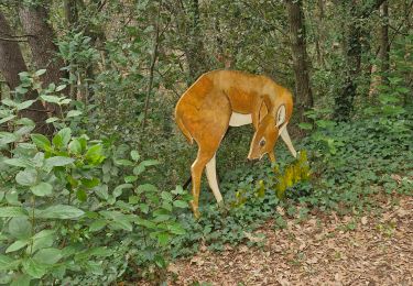 Tour Wandern Roussas - Roussas le Vernet 10km. - Photo