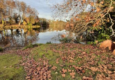 Tour Wandern Pontenx-les-Forges - Pontenx-les-Forges - Photo