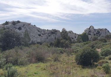 Percorso Marcia Mouriès - mouries - Photo