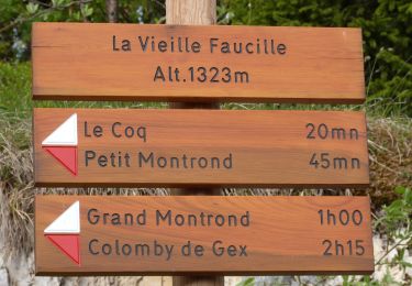 Tocht Stappen Gex - Jura (col de la faucille) 04-06-19 - Photo