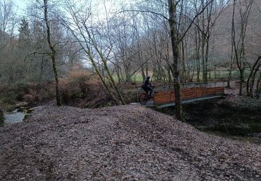 Trail Mountain bike Vinay - Vinay Varacieux  - Photo