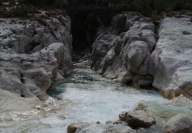 Randonnée A pied Bouyon - Les gorges de l'Estéron départ Bouyon - Photo