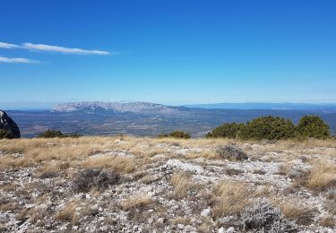 Excursión Senderismo Pourcieux - Pourcieux - Mont Aurélien  - Photo