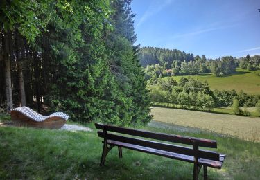 Tour Zu Fuß Warmensteinach - Warmensteinach Rundwanderweg 