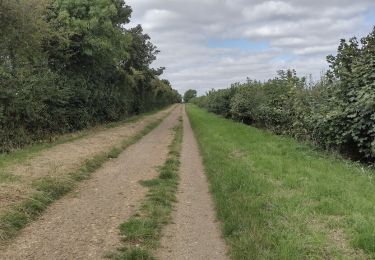 Tocht Te voet Cherwell - Deddington Circular Walk - East - Photo