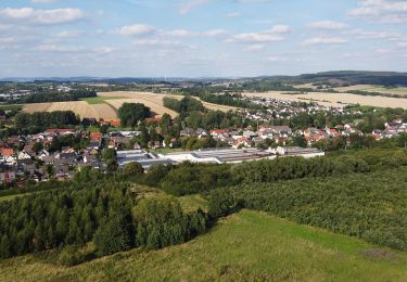 Tocht Te voet Detmold - Gustav-Mesch-Weg - Photo