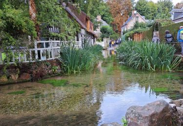 Trail Walking Sotteville-sur-Mer - Veules les roses du 25/092022 - Photo