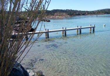 Trail Walking Saint-Tropez - St Tropez_ Le sentier littoral - Photo