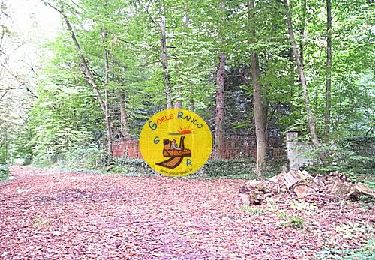 Trail Walking Dampmart - SM_DAMPMART-EST_8.1Km - Photo