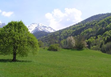 Randonnée A pied La Combe-de-Lancey - Chemin de Découverte (boucle Haute) - Photo