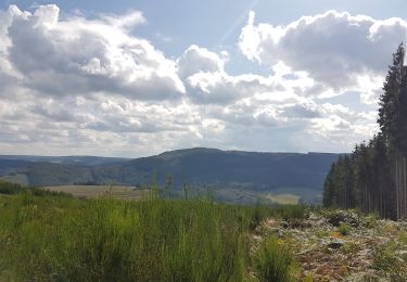 Tocht Stappen Stoumont - La Gleize - Coo - La Venne - Photo