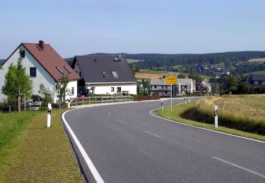 Tour Zu Fuß Auerbach - Rundweg um Auerbach - Photo