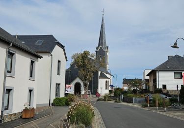 Tour Wandern Wiltz - Eschweiler - Auto-pédestre New - Photo