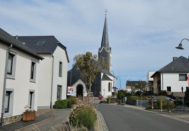 Tocht Stappen Wiltz - Eschweiler - Auto-pédestre New - Photo