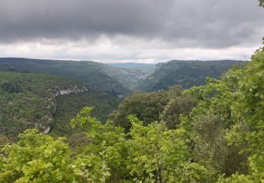Trail Walking Villes-sur-Auzon - Combe de la Sône par les Gabriels - Photo
