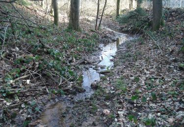 Tour Zu Fuß Mönchberg - Ortswanderweg Mönchberg 3 - Photo