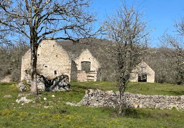 Tour Wandern Rocamadour - St sauveur - Photo