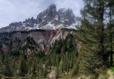 Trail Walking San Martin de Tor - San Martino in Badia - St. Martin in Thurn - San Martino in Badia  638m13k - Photo