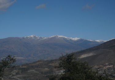 Randonnée Marche Motril - Cerro Gordo Motril  - Photo