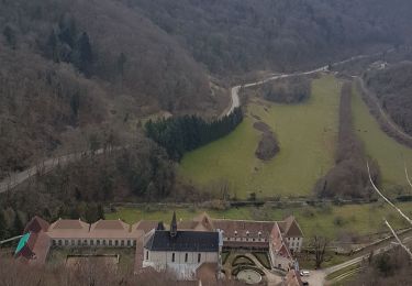Trail Walking Corveissiat - Arnans-Petit Corent-Lavillat  - Photo