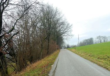 Tocht Te voet Mutlangen - Mutlangen Rundwanderweg 4 - Photo