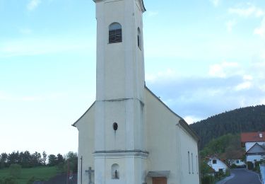 Trail On foot Gemeinde Pilgersdorf - Kogl - Salmannsdorf - Photo