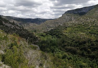 Trail Walking Saint-Maurice-Navacelles - cirque de navacelles - Photo