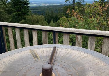 Tour Wandern Éloyes - Belvédère et Tête des Cuveaux - Photo