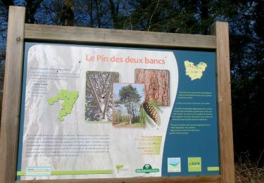 Tour Wandern Louviers - 20240402-louviers - Photo
