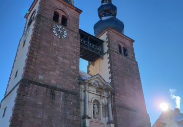 Tocht Stappen Saint-Quirin - St Quirin et ses 6 roses - Photo