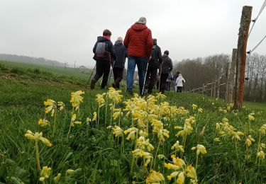 Tocht Stappen Viffort - Viffort du 05-04-2022 - Photo