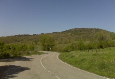 Excursión A pie Passignano sul Trasimeno - Borgo Torale-Vernazzano-Cima Tuoro-Pischiello - Photo