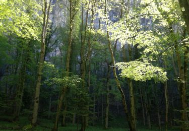 Tour Wandern Allèves - TOURS St JACQUES - Photo