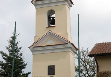 Randonnée A pied Gemeinde Wiesfleck - Rundwanderweg Gemeinde Wiesfleck - Photo