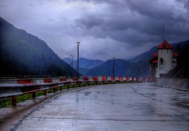 Excursión A pie  - Brazi - Valea Lăpușnicului - Poiana Pelegii - Șaua Pelegii - Photo