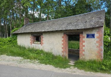 Randonnée Marche Nouzilly - Nouzilly - Circuit des Orchidées  - Photo