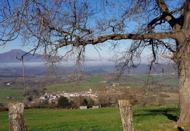 Trail Walking Ainhoa - Ainhoa. Col de 3 croix - Photo