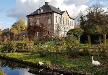 Tocht Stappen Zutendaal - Zutendaal - Photo