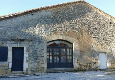 Excursión Senderismo Chazelles - La randonnée autour de Chazelles  - Photo