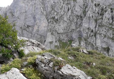 Excursión Senderismo La Chapelle-d'Abondance - pas de la bosse - Photo