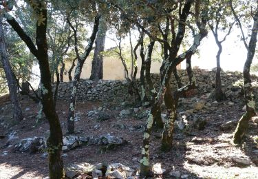 Tocht Stappen Carcès - 20191016 Carcès le Lac 2 - Photo