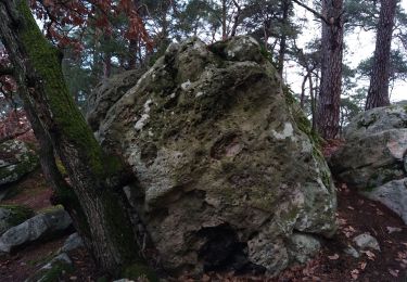 Tour Wandern Fontainebleau - Rocher brûlé - Photo