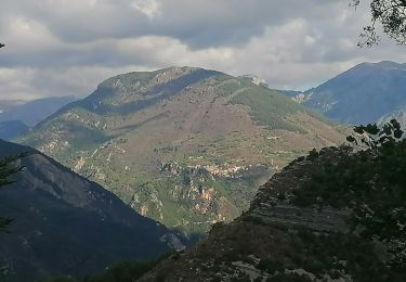 Trail Walking Marie - marie col de serena par la piste et retour sentier - Photo