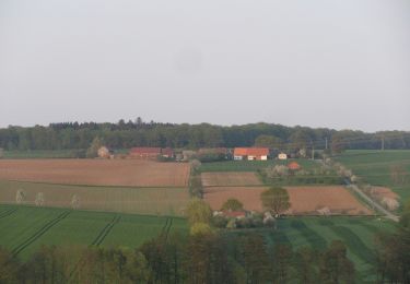 Randonnée A pied Hofgeismar - Hans-Schmidt-Weg - Photo