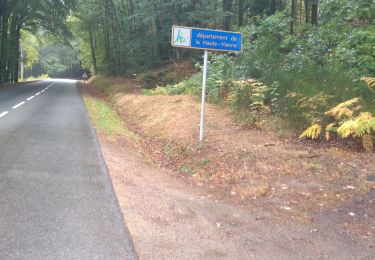 Excursión Bicicleta híbrida Royère-de-Vassivière - jour 16 - Photo