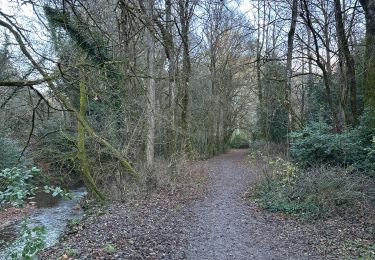 Tour Wandern Méounes-lès-Montrieux - MONTRIEUX LE GAPEAU - Photo