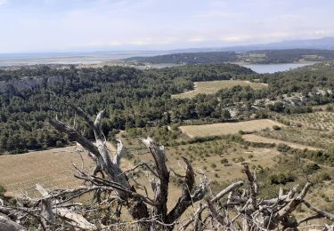 Randonnée Marche Gruissan - Gruissan le trou de l'oreille  - Photo